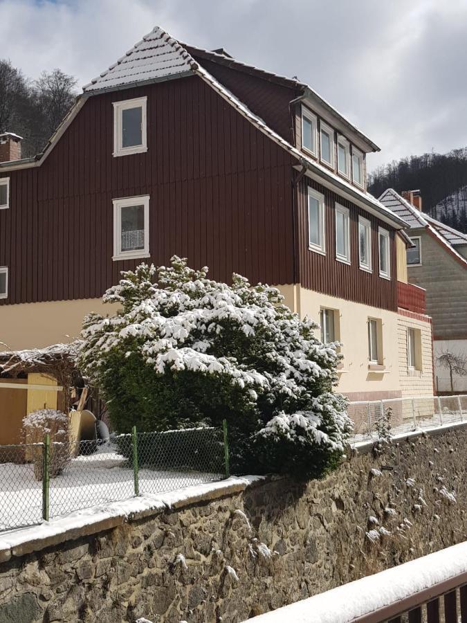 Haus Am Fluss Mit Wunderschoener Dachterrasse Mit Flussblick ,Garten Und Grill Zorge 外观 照片