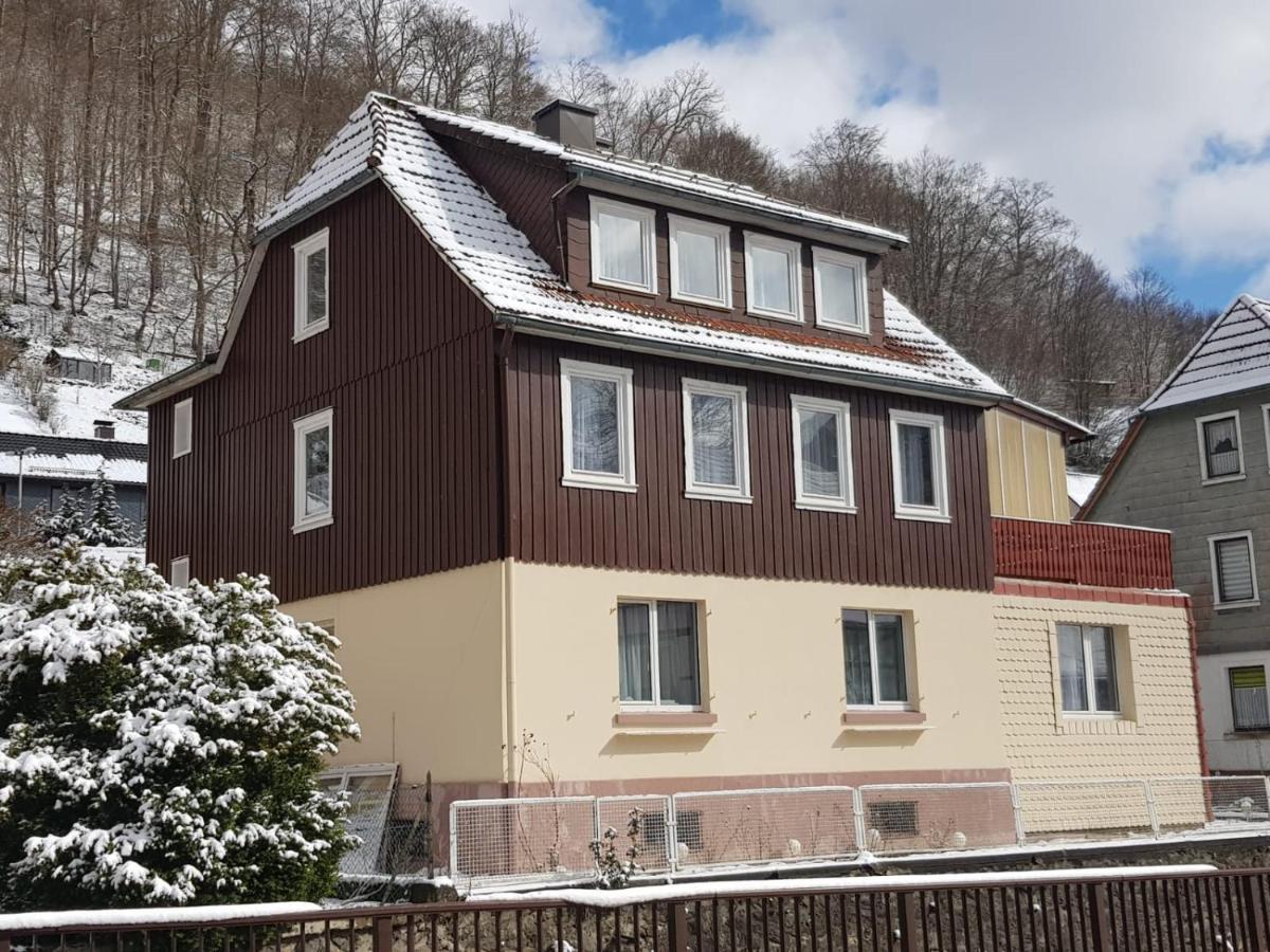 Haus Am Fluss Mit Wunderschoener Dachterrasse Mit Flussblick ,Garten Und Grill Zorge 外观 照片