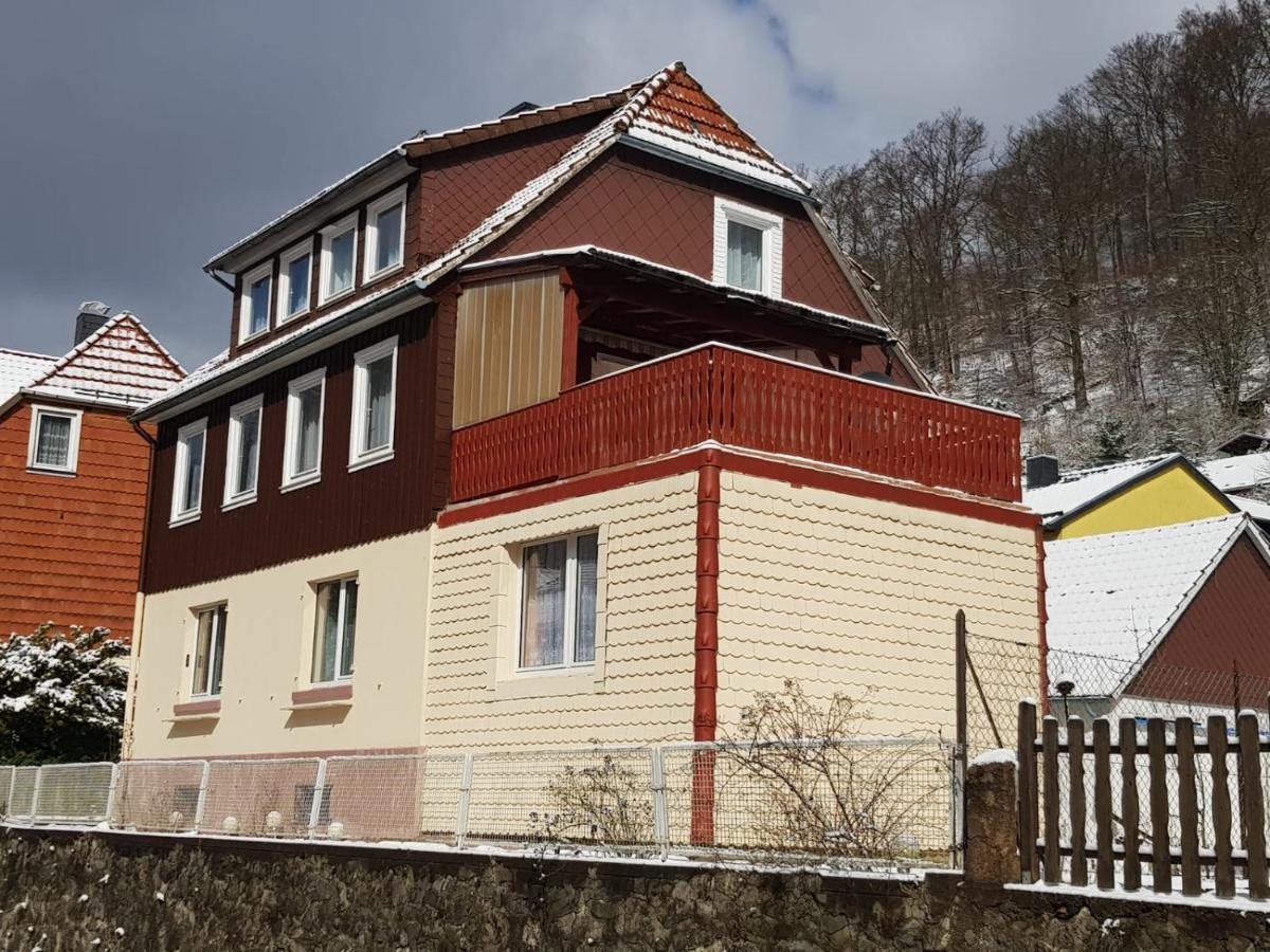 Haus Am Fluss Mit Wunderschoener Dachterrasse Mit Flussblick ,Garten Und Grill Zorge 外观 照片