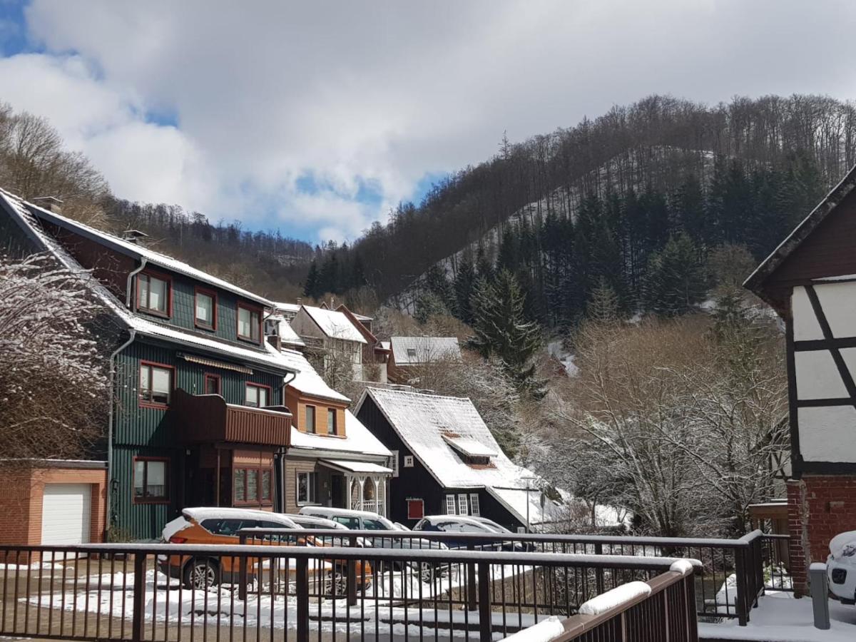 Haus Am Fluss Mit Wunderschoener Dachterrasse Mit Flussblick ,Garten Und Grill Zorge 外观 照片