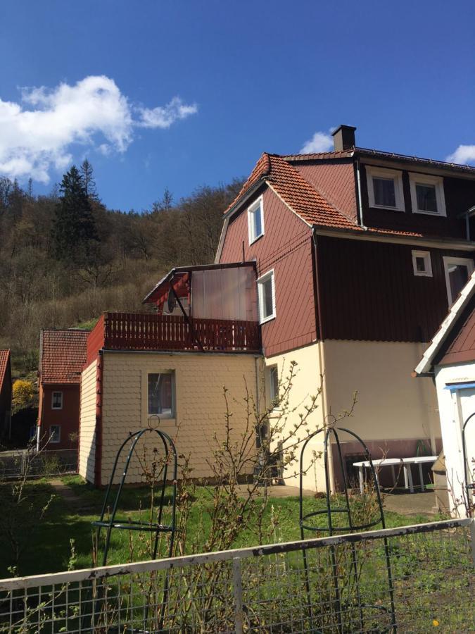 Haus Am Fluss Mit Wunderschoener Dachterrasse Mit Flussblick ,Garten Und Grill Zorge 外观 照片