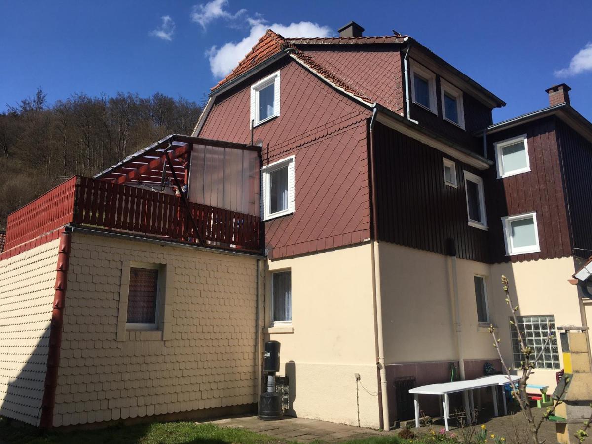 Haus Am Fluss Mit Wunderschoener Dachterrasse Mit Flussblick ,Garten Und Grill Zorge 外观 照片