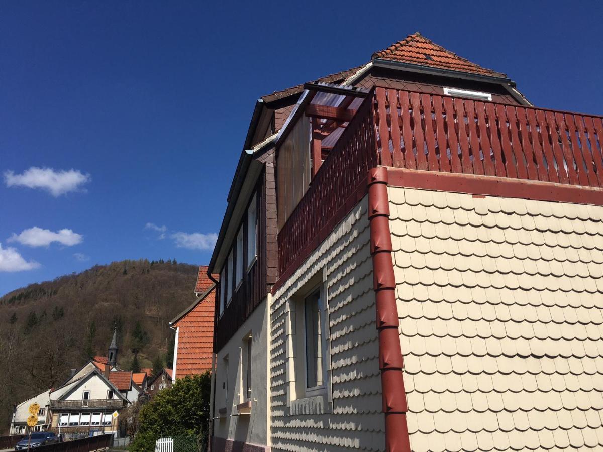 Haus Am Fluss Mit Wunderschoener Dachterrasse Mit Flussblick ,Garten Und Grill Zorge 外观 照片