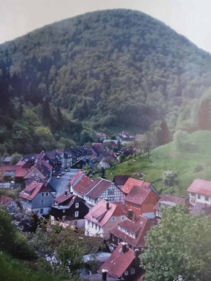 Haus Am Fluss Mit Wunderschoener Dachterrasse Mit Flussblick ,Garten Und Grill Zorge 外观 照片